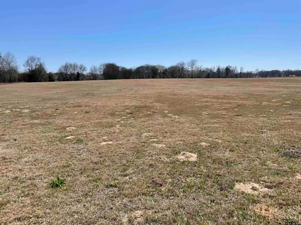 23010 McFadden Ln, Chandler, TX, 75758 — ảnh 17