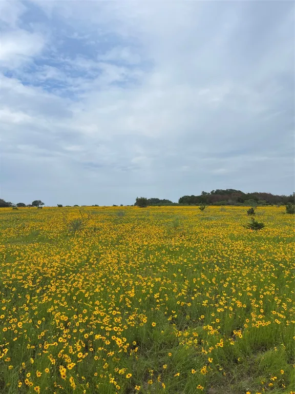 LOT 156 Bison Ridge Dr, Stephenville, TX 76401 — ảnh 14