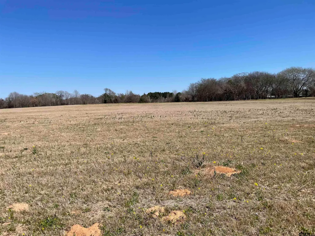 23010 McFadden Ln, Chandler, TX, 75758 — ảnh 36