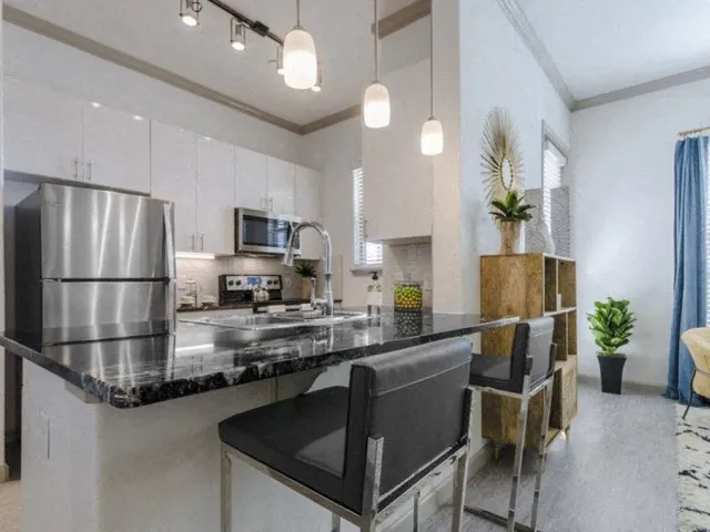 2610 Dodson St, Garland, TX, 75042 — ảnh 49
